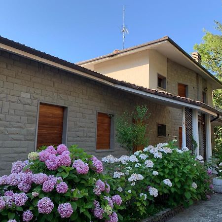 Peaceful Country Living At Apartments At Villa Clara Vimignano-Chiesa Exterior foto